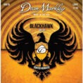 Acoustic Guitar Strings